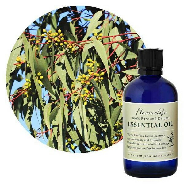 ユーカリラディアータ 100ml