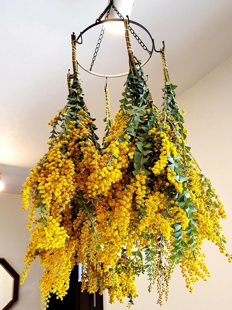 ミモザ アカシア 花材 プリザーブドフラワー アロマワックスバー キット/ボタニカルサシェ/ハーバリウム用 花材/プチギフト/ハンドメイド