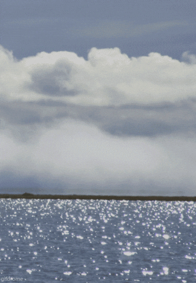 [配送不可TEST商品]7월 12일 애널리틱스 테스트 새로고침+URL입력 최근 본상품