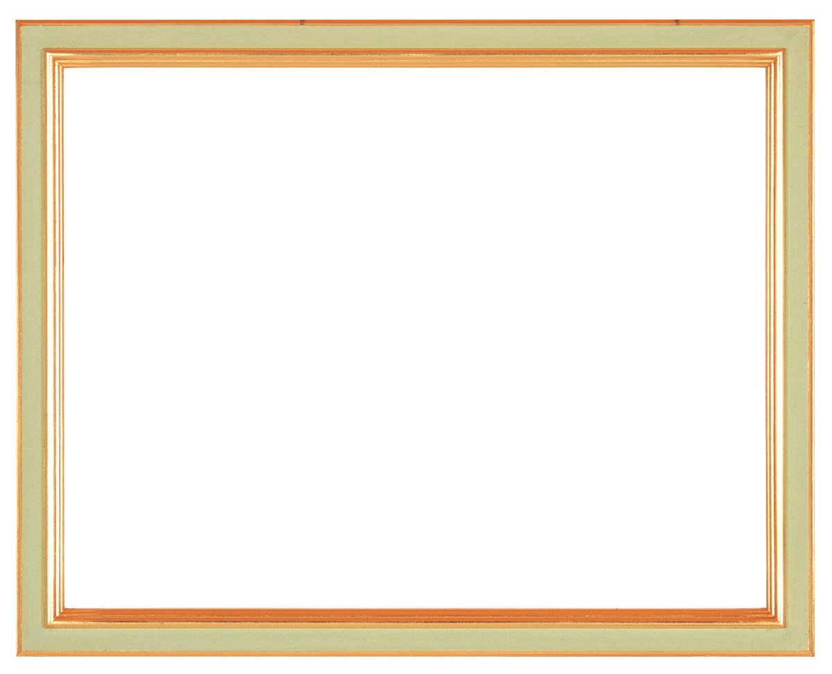 ラーソン・ジュール・ニッポン 額縁 D301 ライトグリーン 大衣 アクリル D301105 6,298円