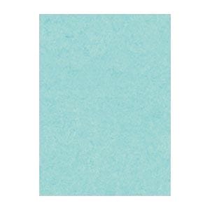 （まとめ） 文運堂 ニューカラーR 四ツ切 横392×縦542mm 4NCR-132 ライトブルー 100枚入 (×2セット)