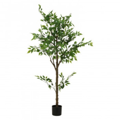 不二貿易 （C/D:41123） フェイクグリーン フィカス 160cm ジョイント 8,132円