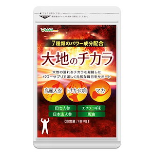 ナカイの角 マカ 高麗人参などパワー系素材7種配合　大地のチカラ　約12ヵ月分