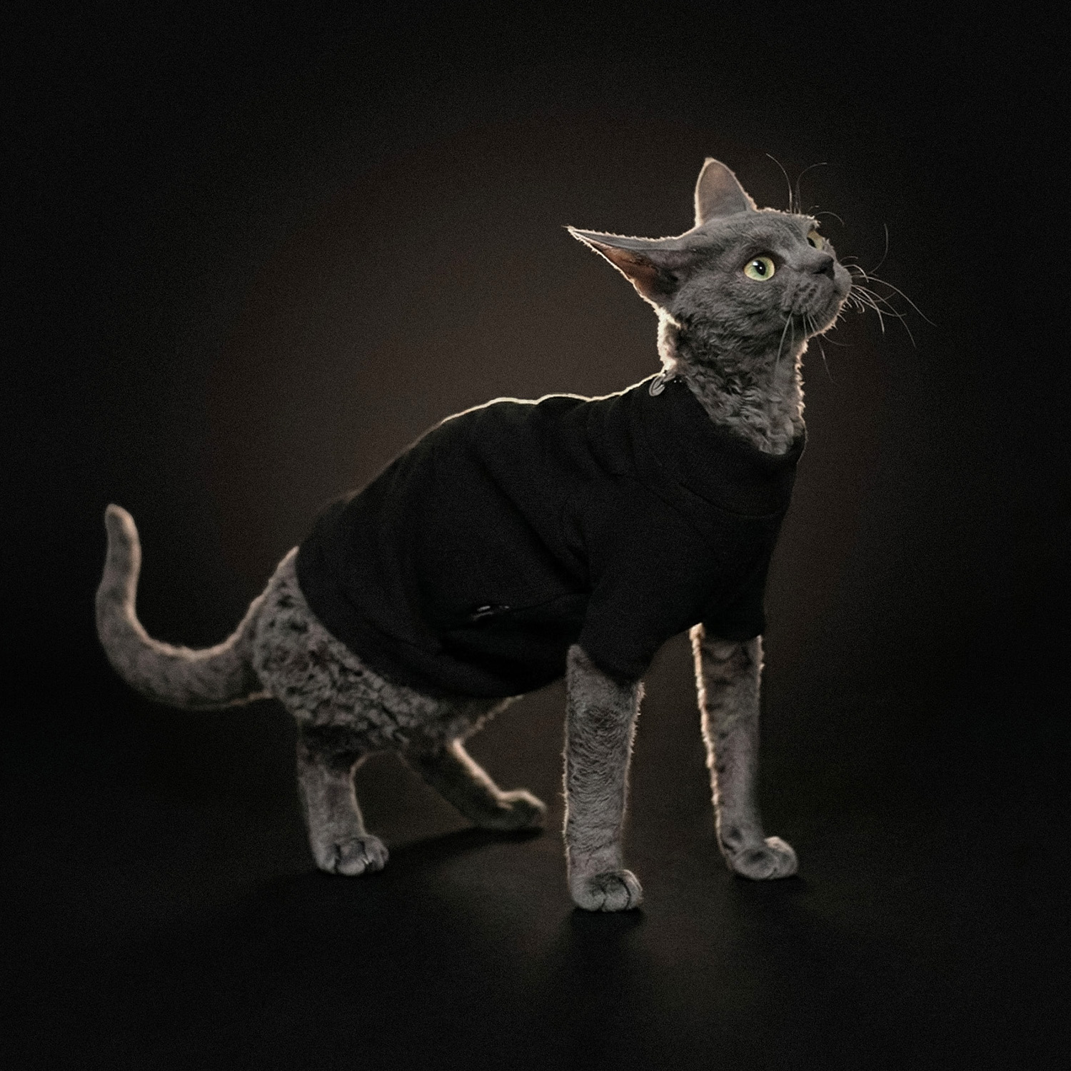ユーティリティペットハイネック(UTILITY CAT HIGHNECK)