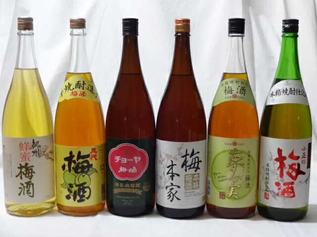 こんな梅酒福袋が欲しかったぁ　飲み比べ6本セット（中野BC 蜂蜜梅酒 五代梅酒 中埜酒造 おば 11,447円