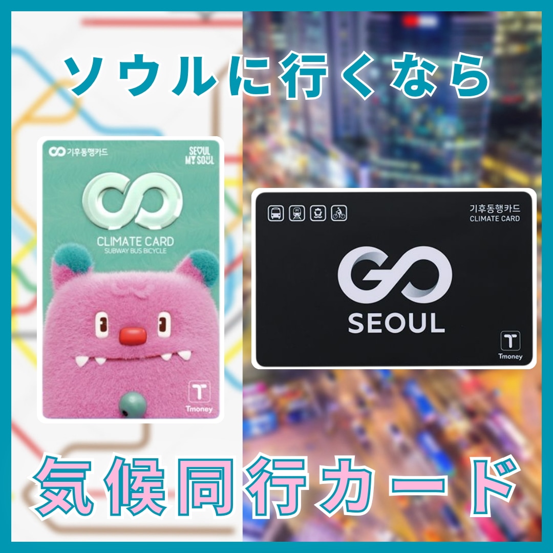 Qoo10] 韓国ソウル一日乗車券「気候同行カード」地