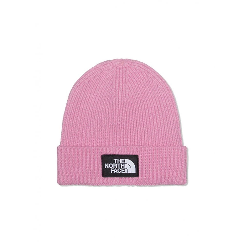 ノースフェイスボックスロゴビーニー NF0A3FJX I0W1