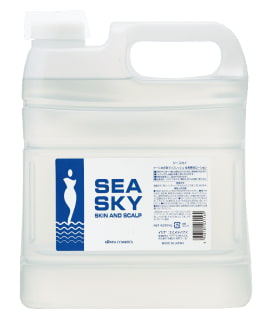 シースカイ 4L