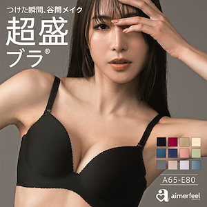 ランキング常連 高リピート率 谷間が盛れるブラ シームレスでひびかない超盛ブラ(R) シームレス 単品ブラジャー