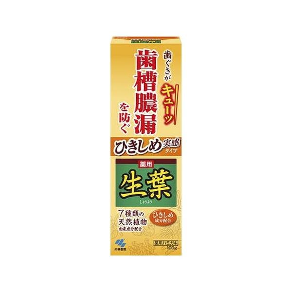 【10個セット】小林製薬 生葉 ひきしめ生葉 100g