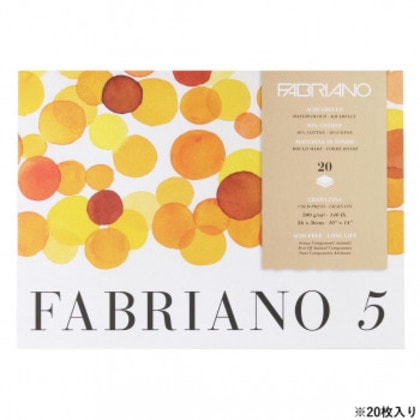 ファブリアーノ 5 水彩紙 中目 F5B-26×36