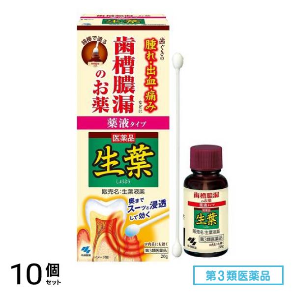 第３類医薬品 生葉(しょうよう)液薬 歯槽膿漏薬 20g (+綿棒30本入) 10個セット