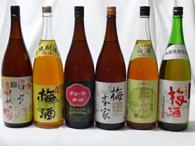 こんな梅酒福袋が欲しかったぁ　飲み比べ6本セット (北川本家 はんなり梅酒 五代梅酒 チョーヤ梅酒