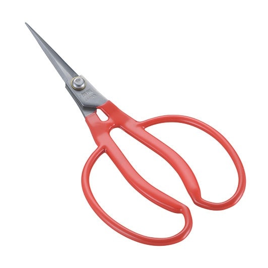 （まとめ買い）小林製鋏 K-21 ステンレスぶどう手曲り鋏[xPP袋入] [x3]