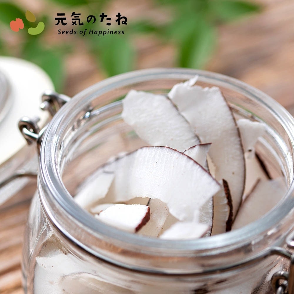 砂糖不使用 無添加 ドライフルーツ ココナッツ 1kg ココナッツチップス おやつ おつまみ プレゼント