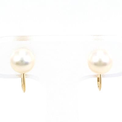 宍戸政紀様専用】雌雄モザイク ヘラクレスオオカブト 【公式通販】