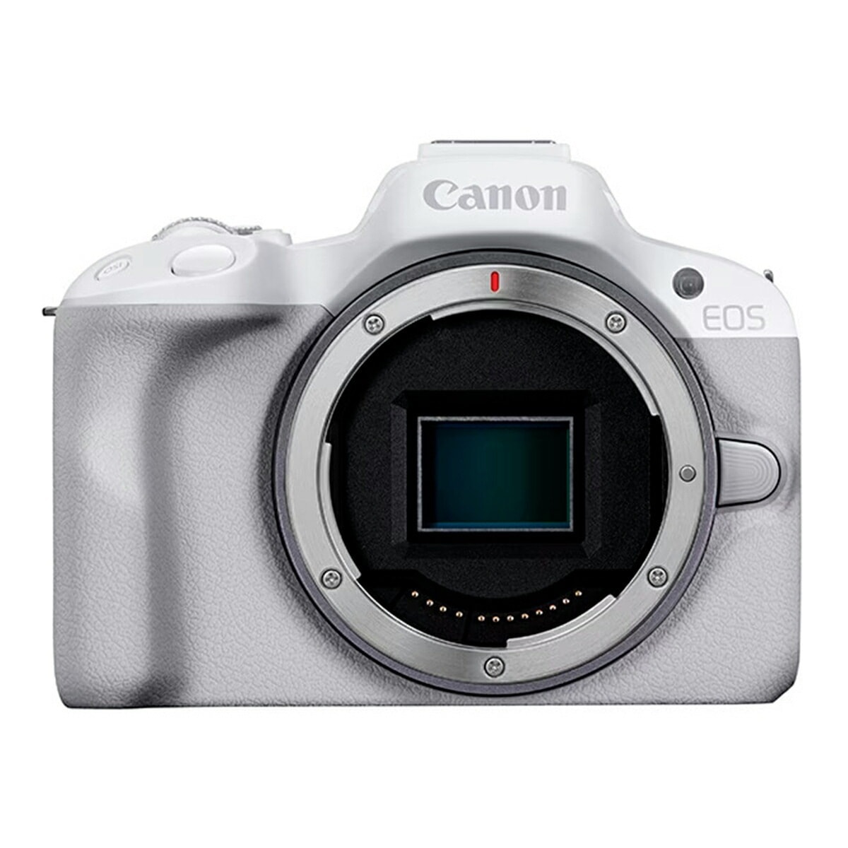 EOS R50 ボディ ホワイト APS-C イオス 本体 ミラーレス一眼カメラ