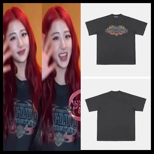 [韓國正品店][LE SSERAFIMユンジン着用] Fire Harley Davidson Printed Pigment T-shirtTシャツ・カットソー