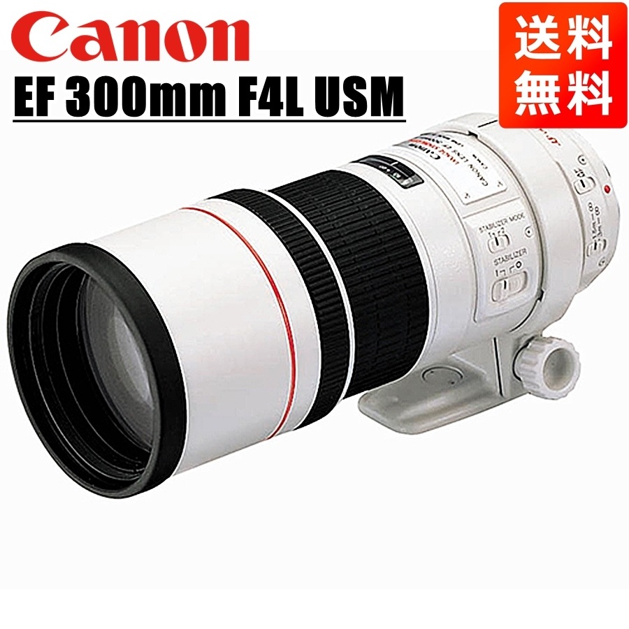 EF 300mm F4L USM 望遠単焦点レンズ 一眼レフ カメラ 中古