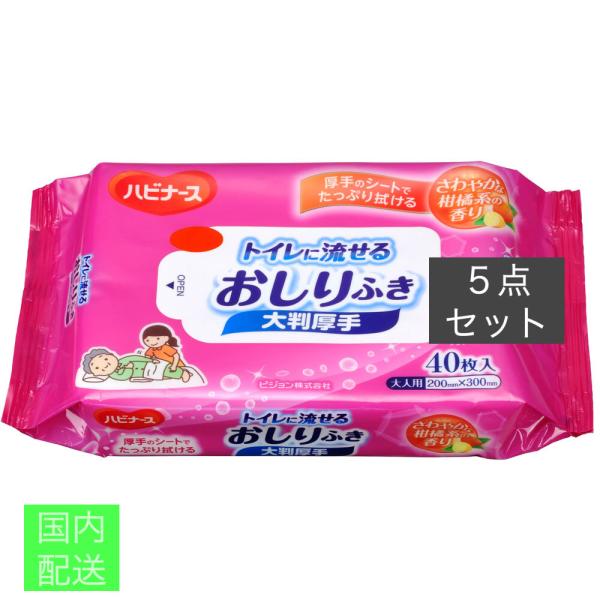 ハビナース トイレに流せるおしりふき 大判厚手 40枚入 x10個セット