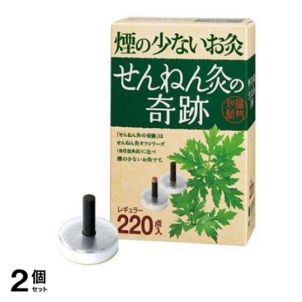 せんねん灸の奇跡 レギュラー 220点入 2個セット