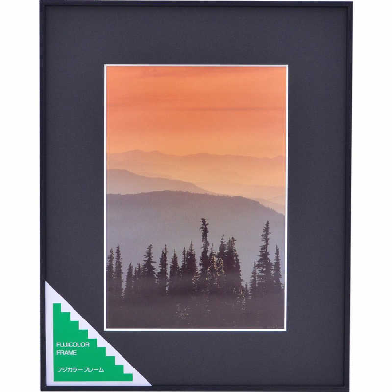 フジカラー　アルミ額縁 A300(ワイド4切)　A300 8,024円