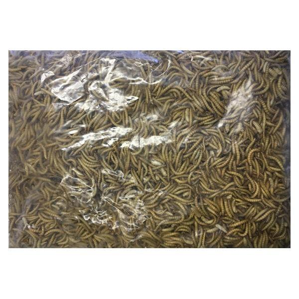 冷凍ミルワーム(業務用）1kg ×6個セット【クール便発送】ハムスター 小動物 爬虫類 熱帯魚 小鳥 エサ 餌 フード 18,144円