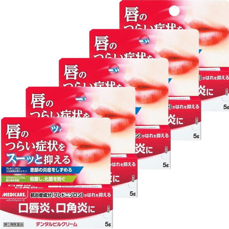 指定第2類医薬品 5個セット 森下仁丹 メディケア デンタルピルクリーム 5g 口唇炎 口角炎