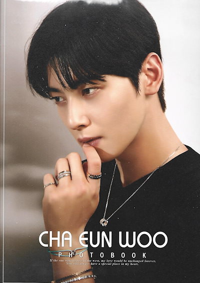 CHAEUN-WOOARTFIGURE.png?v=