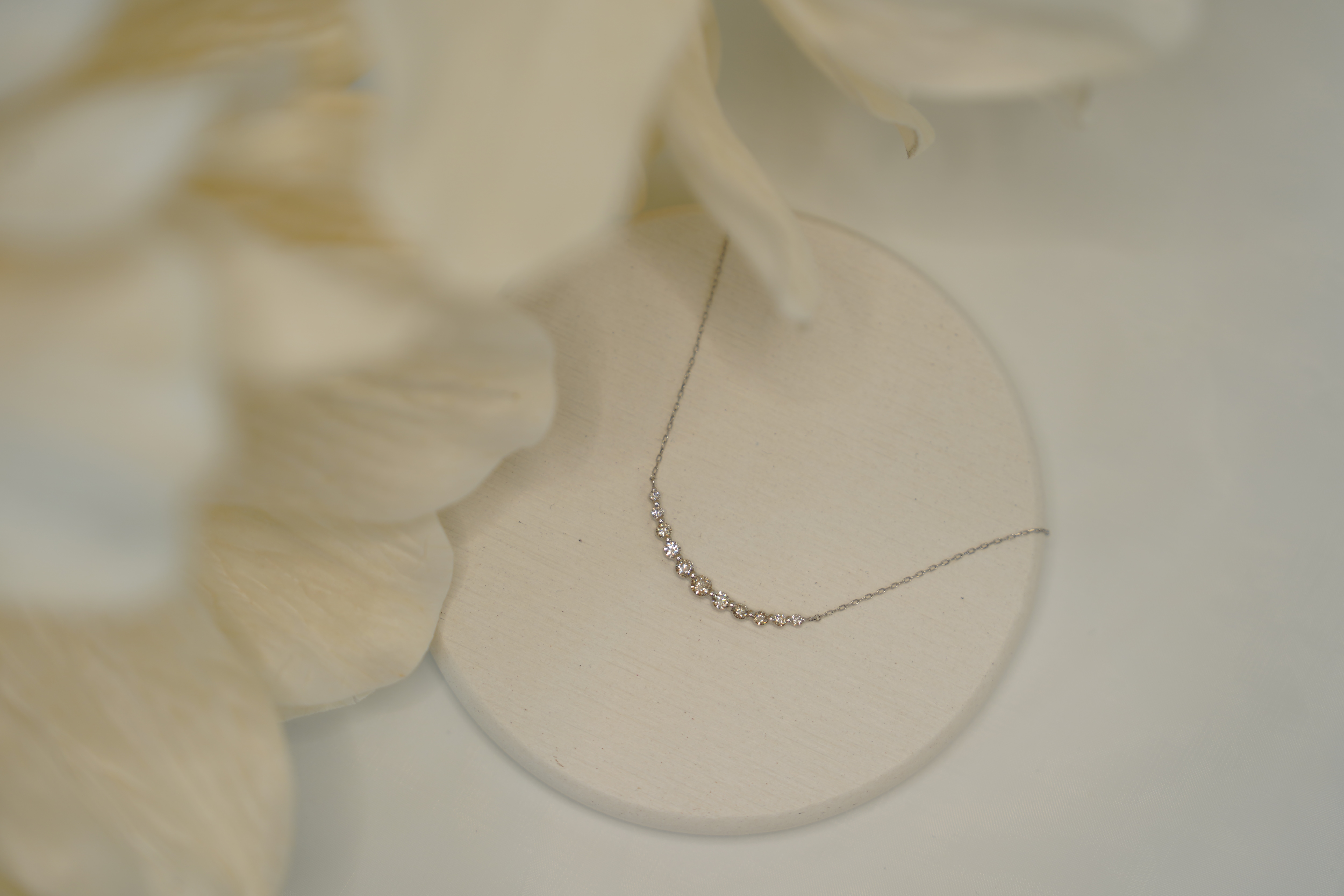 新品　PT850　プラチナジュエリー　ネックレス　ダイヤモンド0.5ct　高級　エレガント【N4552307010003】