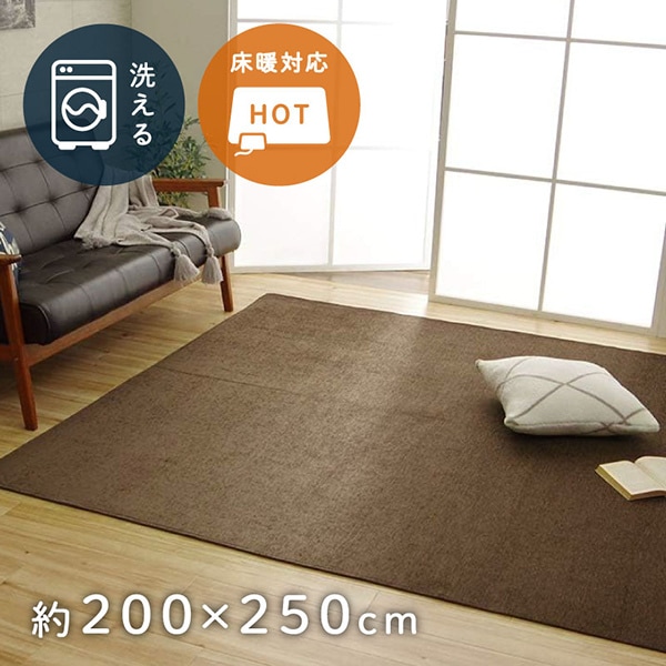 1292340066502 ラグ 洗える 無地カラー モデルノ ブラウン 200×250cm メーカー直送