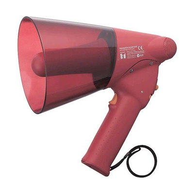 アロンゾ モーニング ドリームチームポスター ALONZO MOURNING 【公式