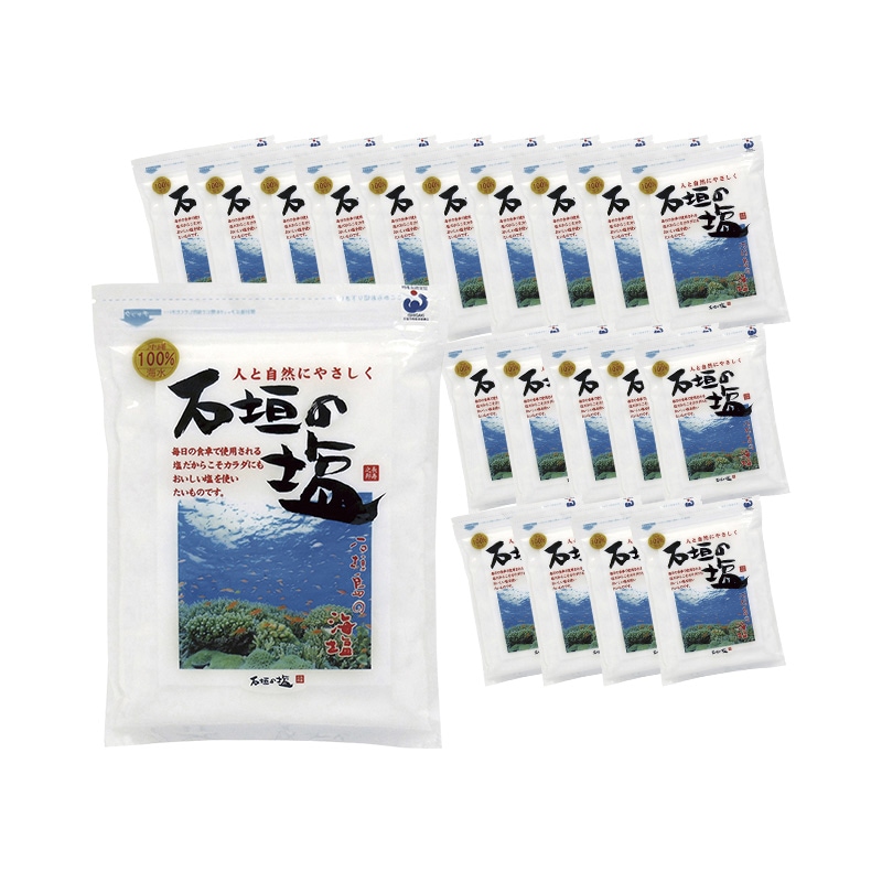 石垣の塩 500g 20袋セット 沖縄 石垣島 海水塩 天然塩 国産 塩 調味料 料理用