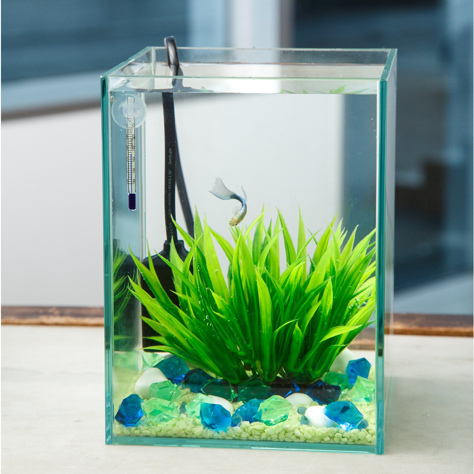 （熱帯魚）飼育セット　グッピーセット　ｇｕｙー水ー　フィルター無　水温計＆デコシールのおまけ付　本州四国限定　ＣＲＣ10―11―03―10―99