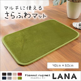 【送料無料】 玄関マット キッチンマット 洗える 防ダニ 抗菌防臭 40×60cm ウォッシャブル 長方形 フランネル 短毛 玄関 トイレ キッチン 洗面台