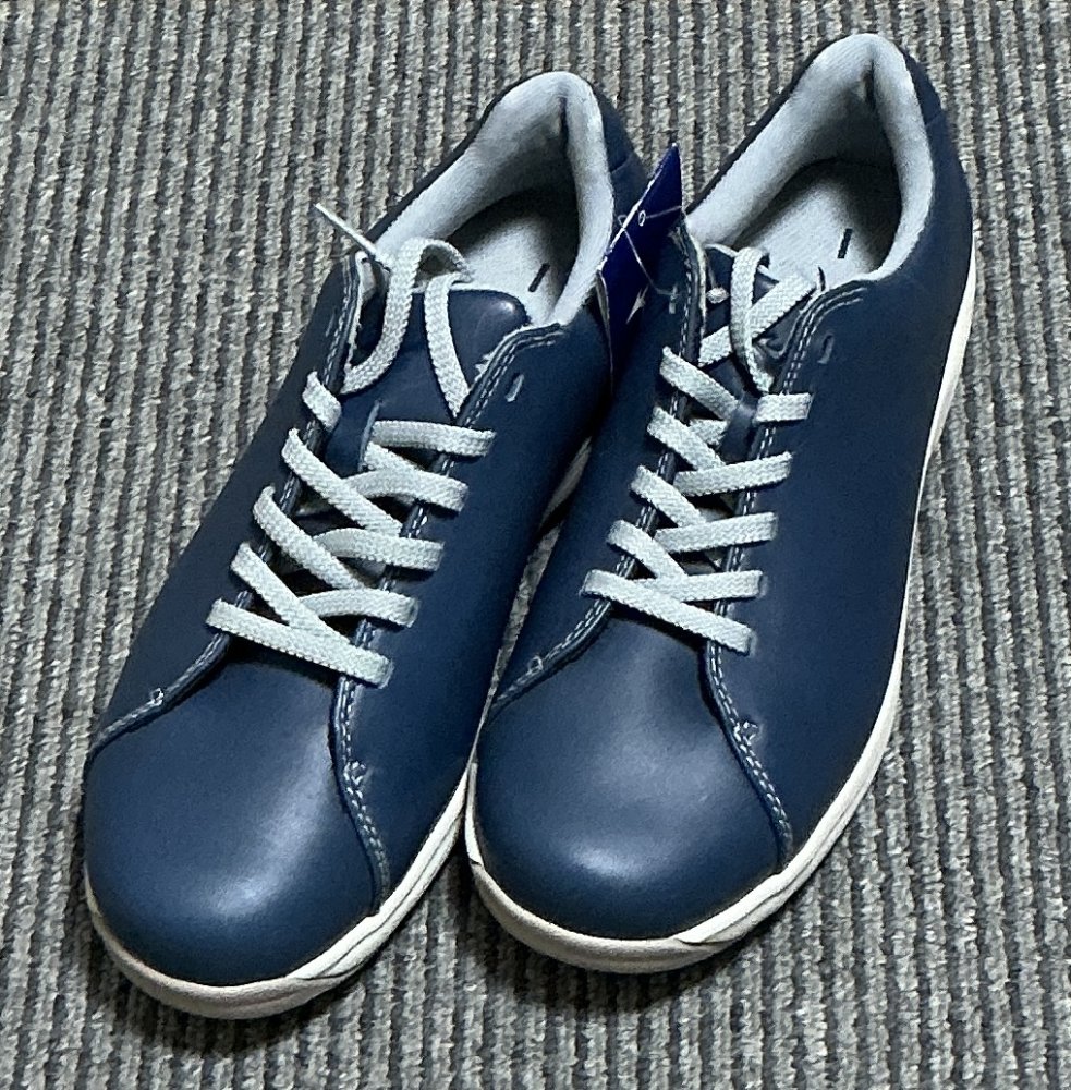 MIZUNO(ミズノ) レディース LD40 CTウォーキングシューズ (現行モデル) レディース ブルー 23.0 cm 3E