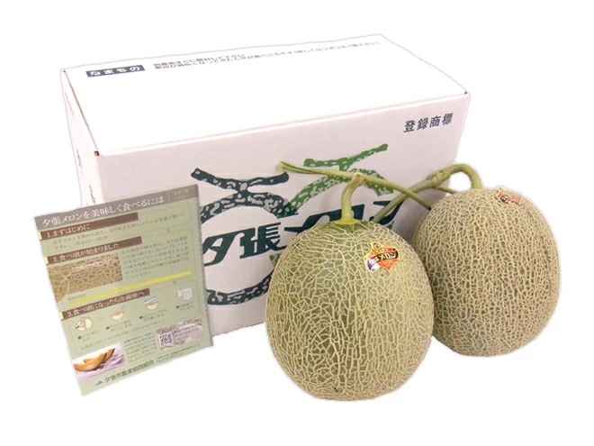 父の日ギフト=夕張メロン=共撰優品 2玉 約3.2kg＋ひまわり生花1本 予約 6月14-21日お届け予定