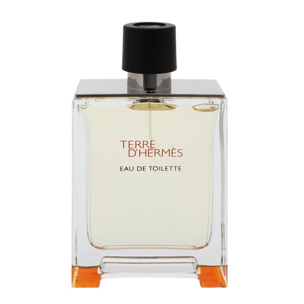 テール ドゥ エルメス （テスター） EDT SP 100ml