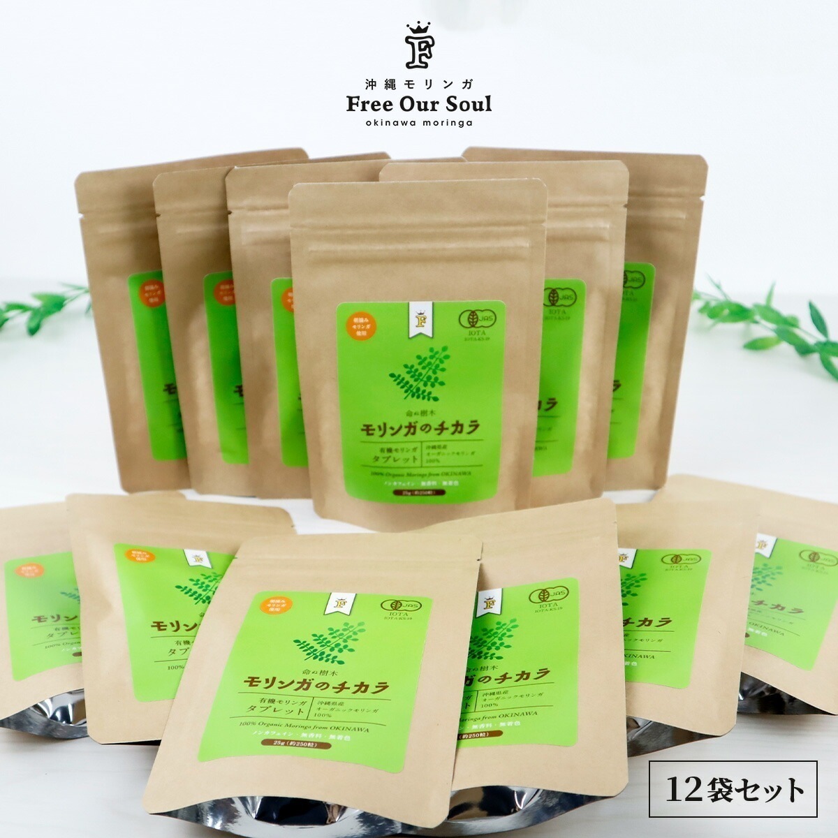 モリンガのチカラ タブレット 25g(約250粒) 12袋 Free Our Soul 朝摘みモリン