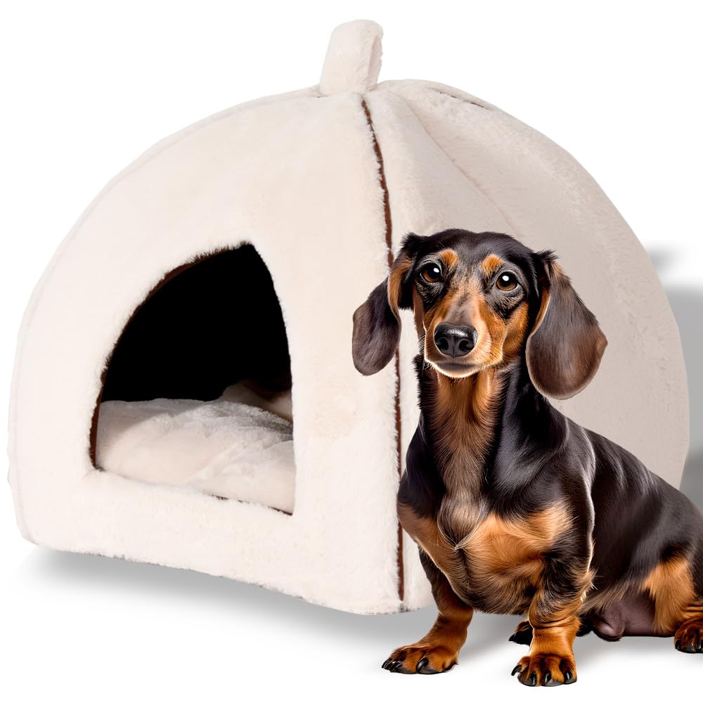 プチリュバン 犬 猫 ベッド ペットベッド アイボリー Lサイズ 小型犬 中型犬 犬猫兼用 ペットハウス ドームハウス ドーム型 冬 暖かい 折りたたみ 室内用 防寒 多頭飼い あったか 洗える ふわ