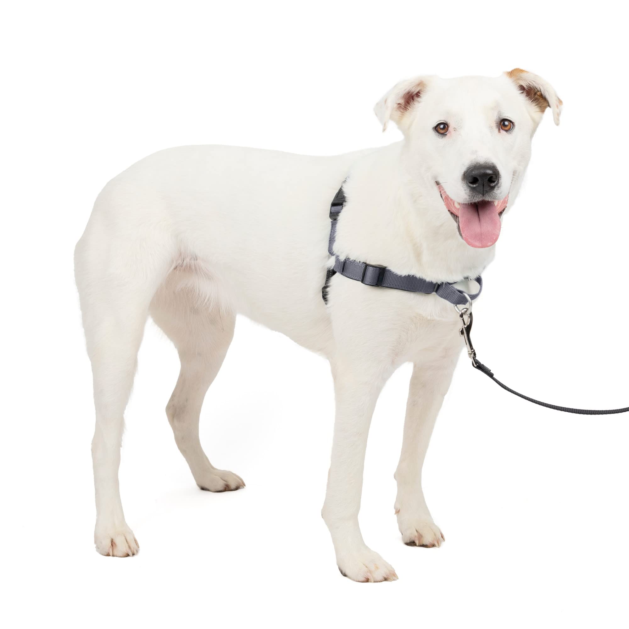 PetSafe(ペットセーフ) 犬用 ハーネス デラックスイージーウォークハーネス M/L スチールシルバー/ブラック 引っ張り防止 散歩 トレーニング