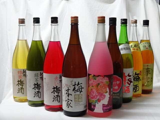 こんな梅酒福袋が欲しかったぁ　飲み比べ9本セット（中野BC 赤い梅酒 緑茶梅酒 蜂蜜梅酒　小正の梅酒