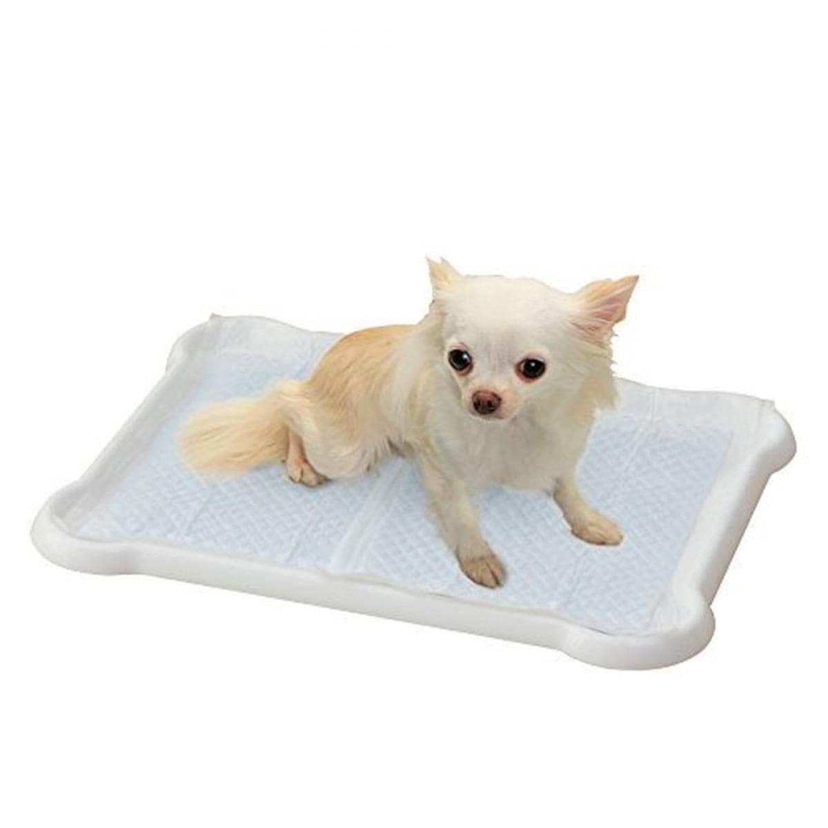 �V�[�c�҂����ƃg���[ ���M�����[ [�z���C�g]