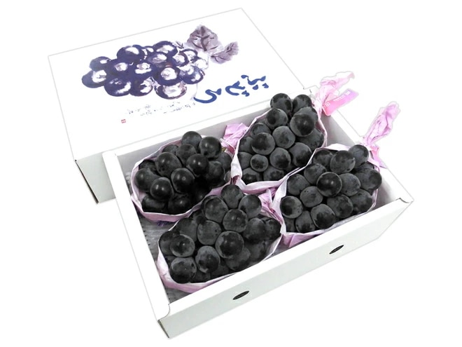 長野産 =ナガノパープル= 秀品 大房限定 2-4房 約2kg ぶどう　化粧箱入り 予約 9月以降　[K2]