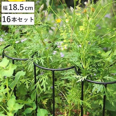 アイアン製植物サポーター幅18 16本セット 支柱 フラワースタンド 花壇 花 植物 支える サポーター 囲い アイアン 仕切り ガーデン サポート アイアンスタンド 屋外 花スタンド 6,552円