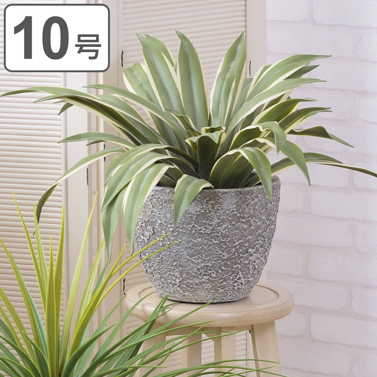 プランター グリーンベース 直径31x高さ25cm 植木鉢 プラントポット 植物用ポット 鉢 花器 鉢カバー ポット 丸 10号鉢 植木鉢カバー 鉢入れ 植物 花 観葉植物 植え替え 寄せ植え