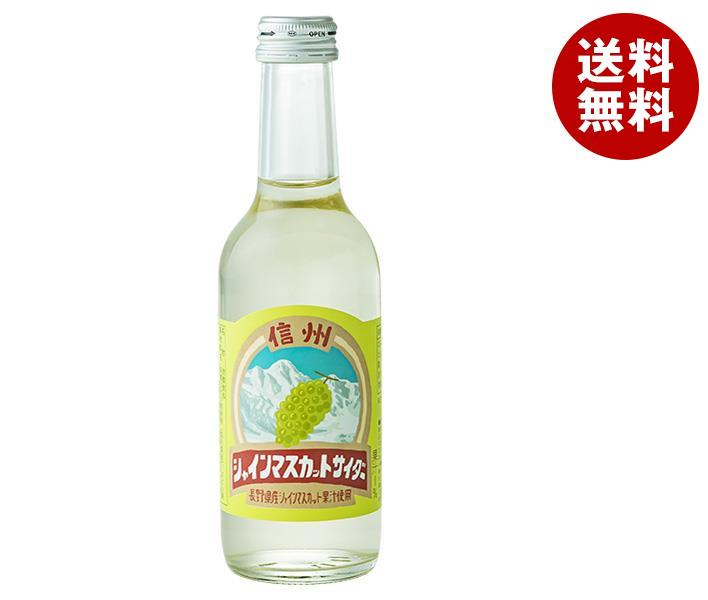 友桝飲料 信州シャインマスカットサイダー 245ml瓶×24本入×(2ケース)