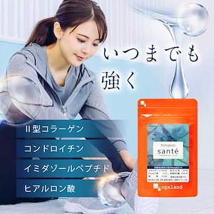 プロテオグリカン Sante（約3ヶ月分） 美容 健康 サプリ サプリメント エイジングケア 健康ケア ヒアルロン酸 コラーゲン グルコサミン コンドロイチン