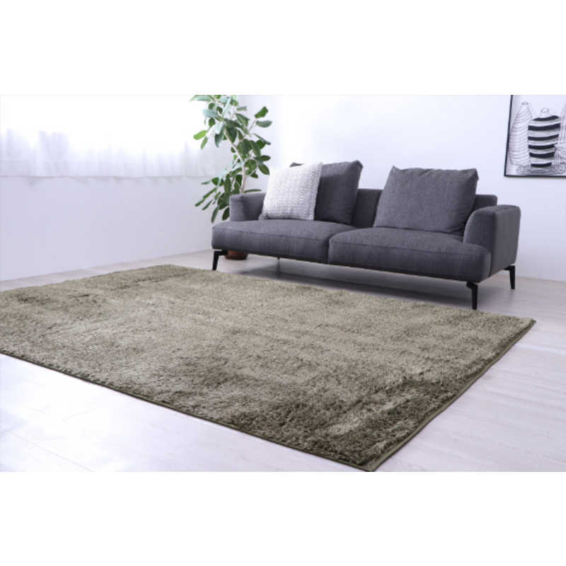 イケヒコ　洗える制菌シャギーラグ ルフォン (約200×250cm/グリーン)