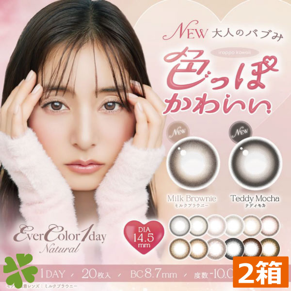 エバーカラーワンデー ナチュラル 　(20枚入）　2箱　カラコン　アイセイ　新木優子